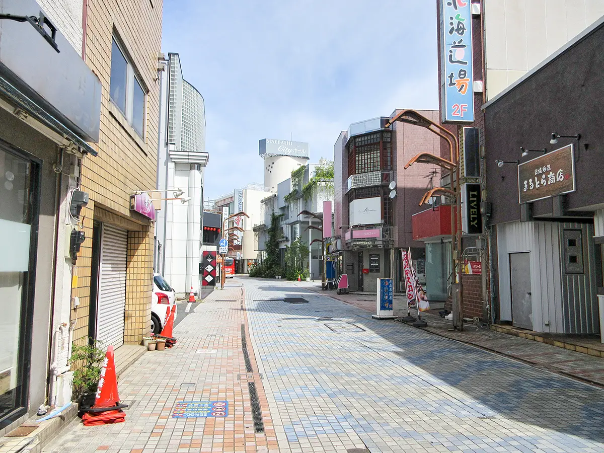 サンヒルズ前橋(周辺環境)